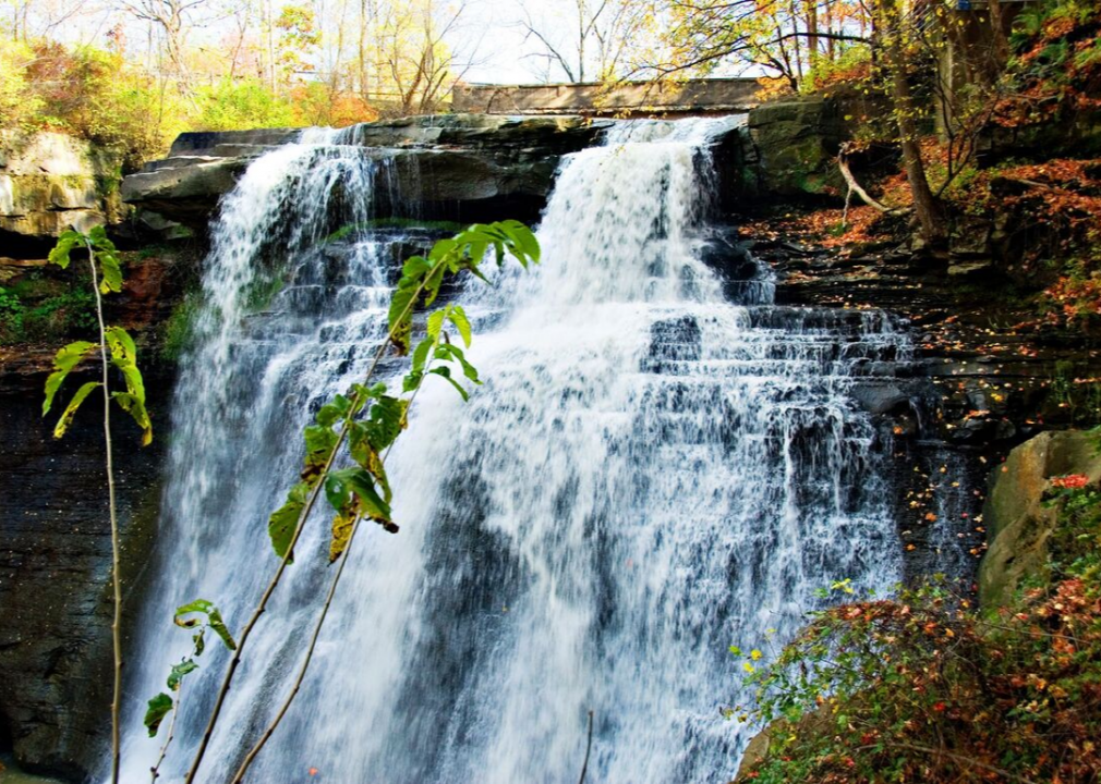 #7. Cuyahoga Valley: Watch birds in Beaver Marsh